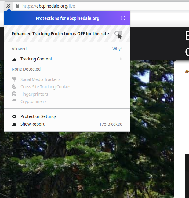 Click the slider to disable tracking protection & enable the livestream.