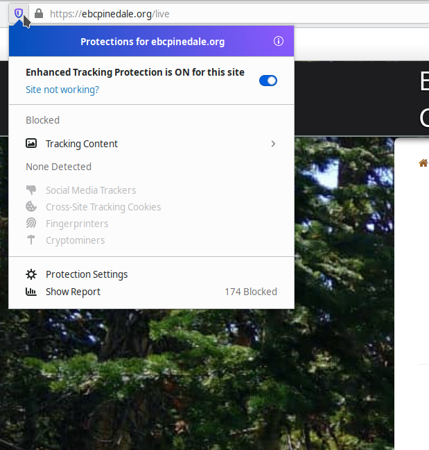 Click the shield icon by the address bar to open the protections menu.