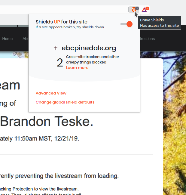 Click the Brave icon to open the Shields menu.